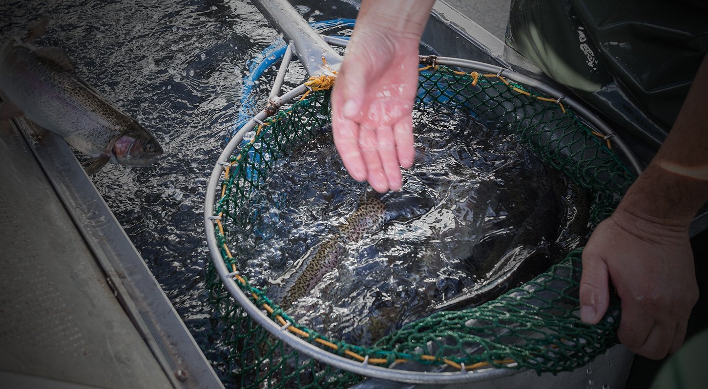 Aquaculture fish hatchery