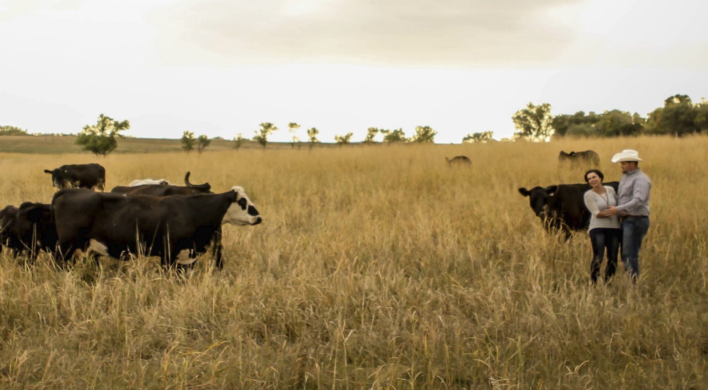 Couple Checking Cattle