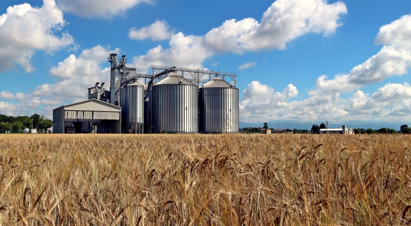 Grain processing facility