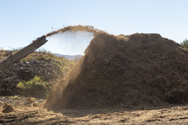 Hogzilla Making A Pile of Wood Chips